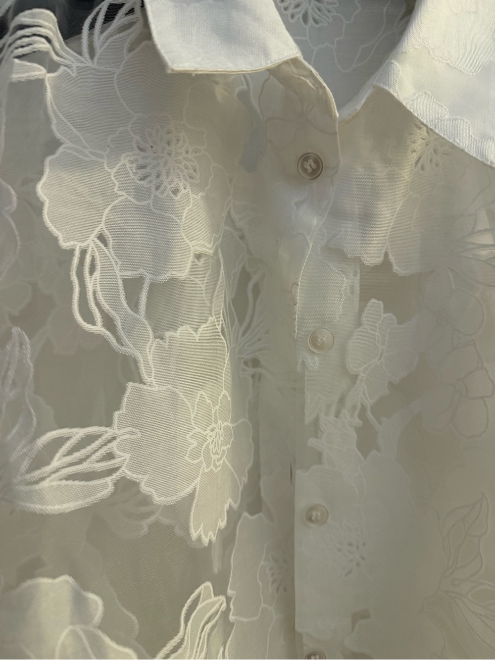 JLUXLABEL White Sheer Floral Lace Button-Down Shirt - Picture 2 of 14